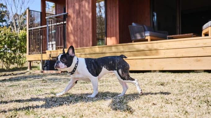 【愛犬と一緒◇2連泊早割】ドッグヴィラで愛犬と過ごす贅沢なひと時／1フランス夕食・2朝食付